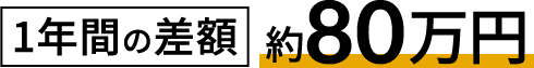 1年間の差額 約80万円