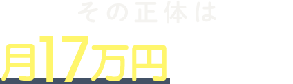 その正体は月17万円の税金